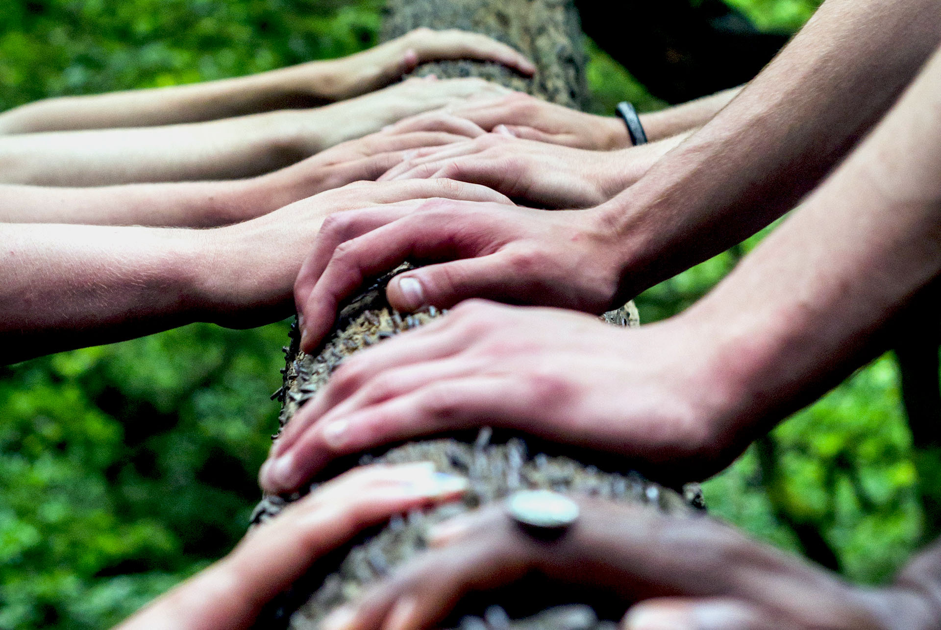 DESARROLLO Y ENTRENAMIENTO DE LIDERAZGO